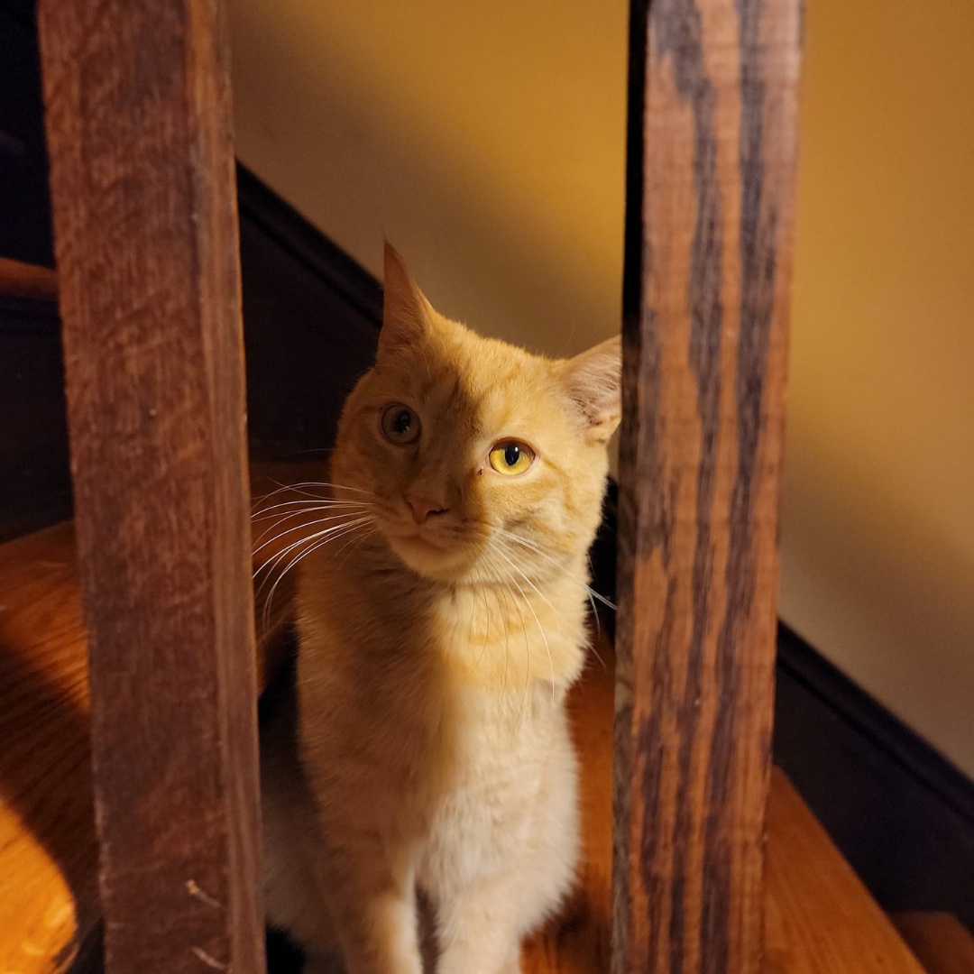 John & Andrew Conclusion4