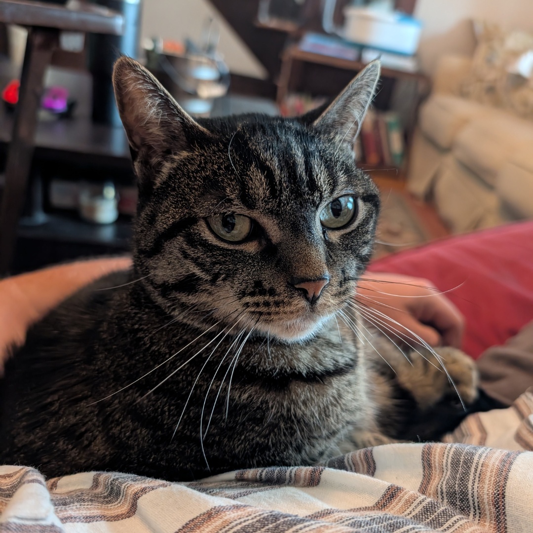 John & Andrew Conclusion4