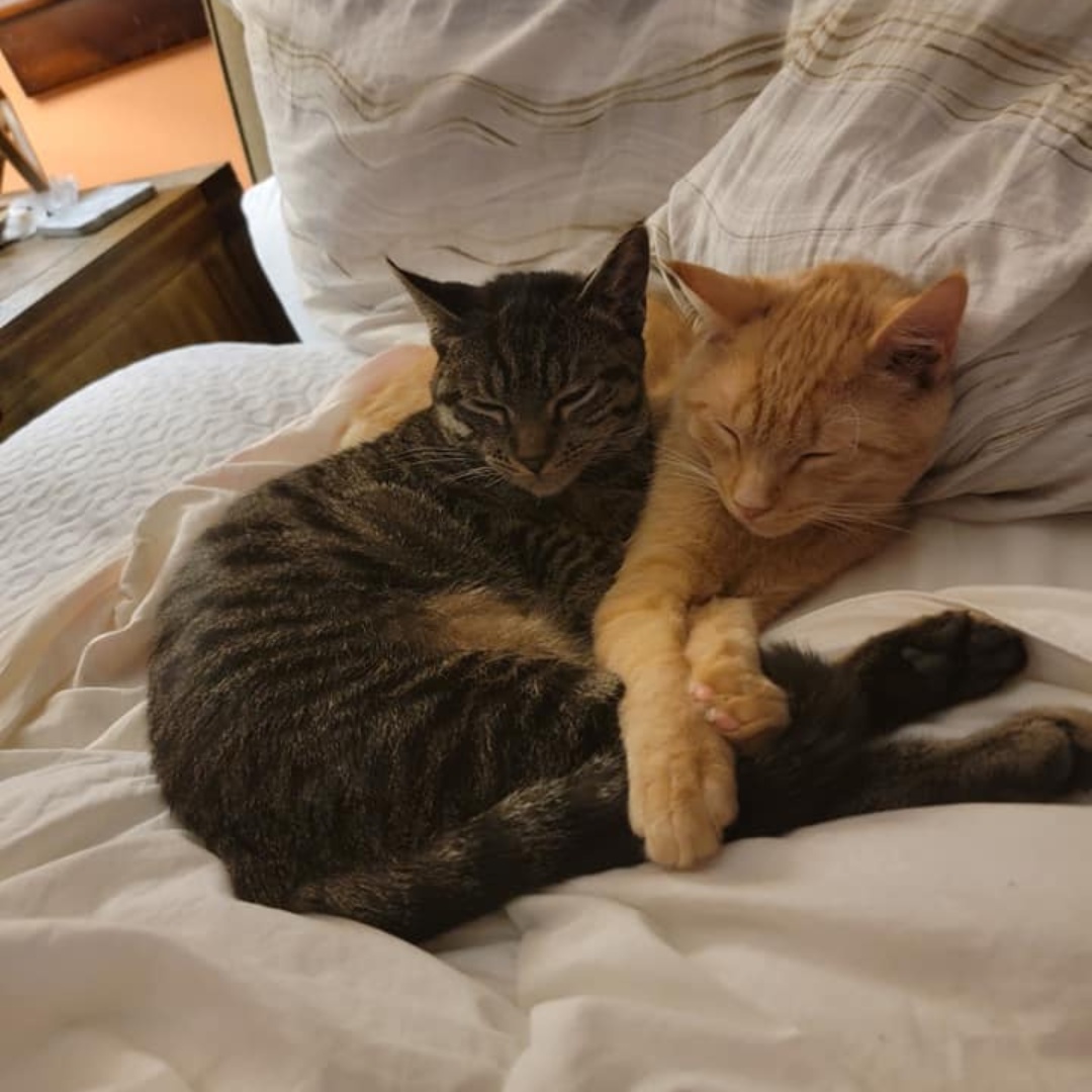 John & Andrew Conclusion4