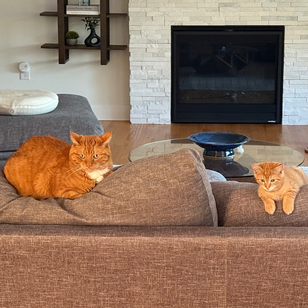 John & Andrew Conclusion4