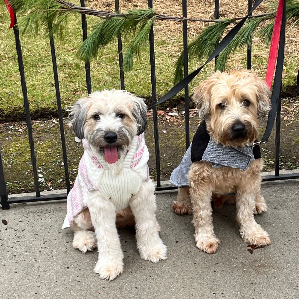 John & Andrew Conclusion4